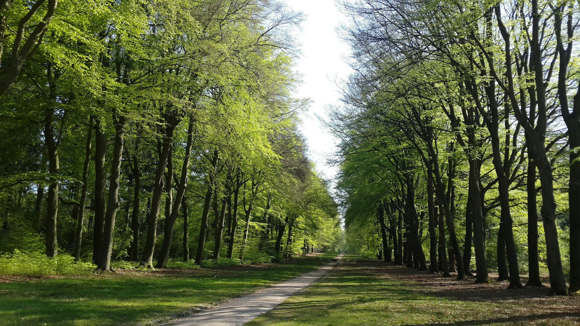 Mooie foto van Ede